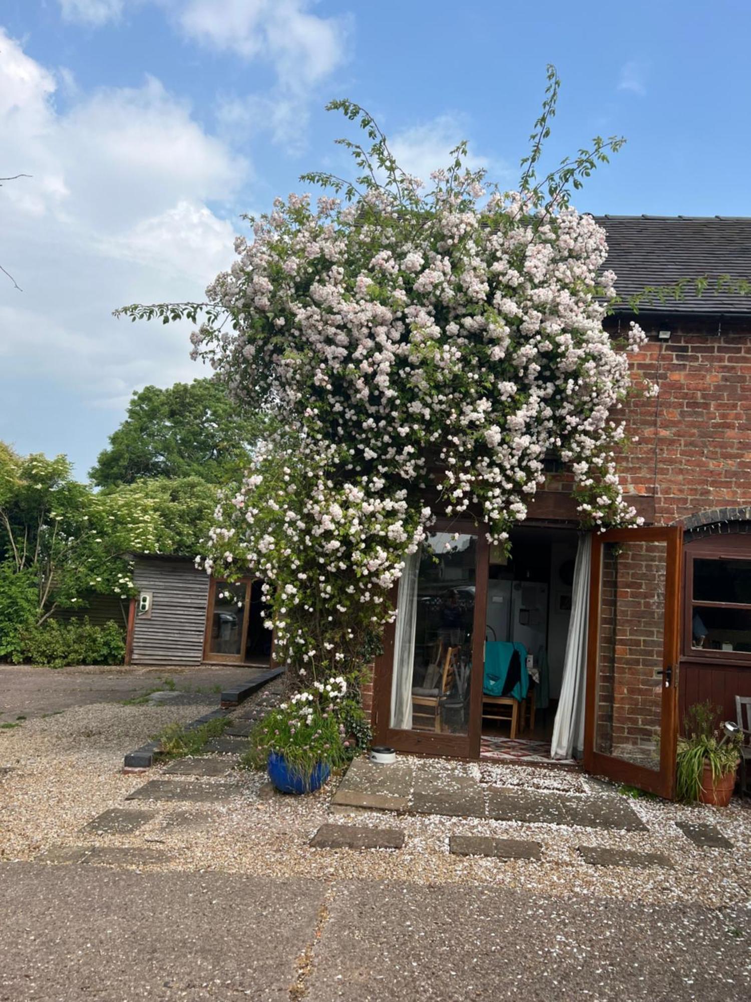 Highfields Farm B&B Stone  Esterno foto