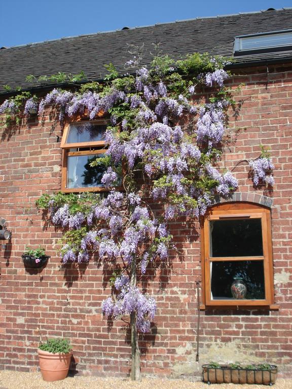 Highfields Farm B&B Stone  Esterno foto
